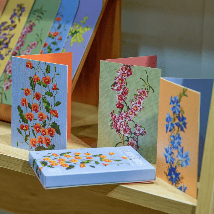 Bell Art 'Blossoms' Boxed Florist Cards