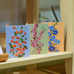 Bell Art 'Blossoms' Boxed Florist Cards