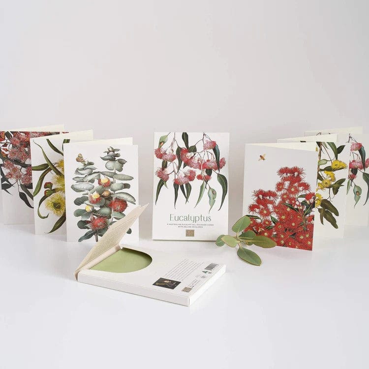 Australian 'Eucalyptus' Boxed Cards