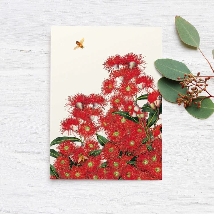 Australian 'Eucalyptus' Boxed Cards