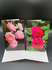 Leonard Smith Notecards - 10 pack - W145