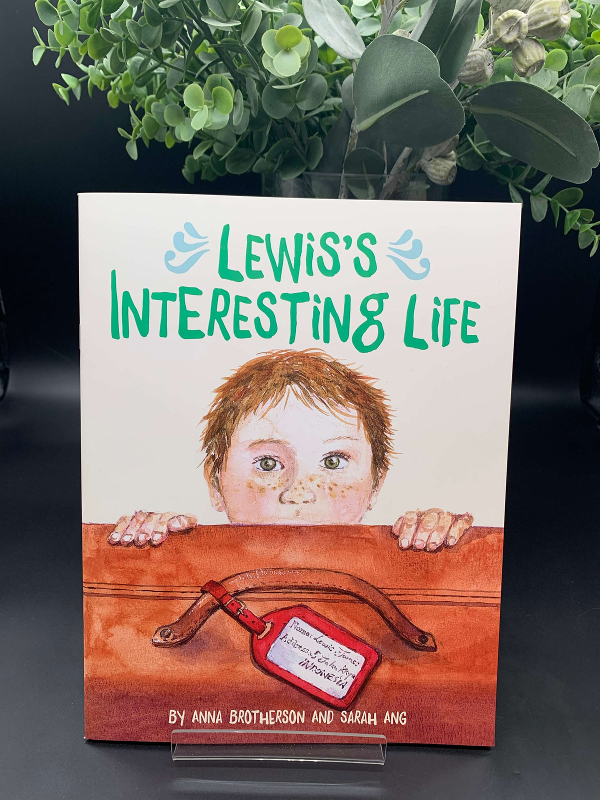 Lewis's Interesting Life Book